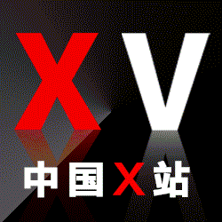 中国X站